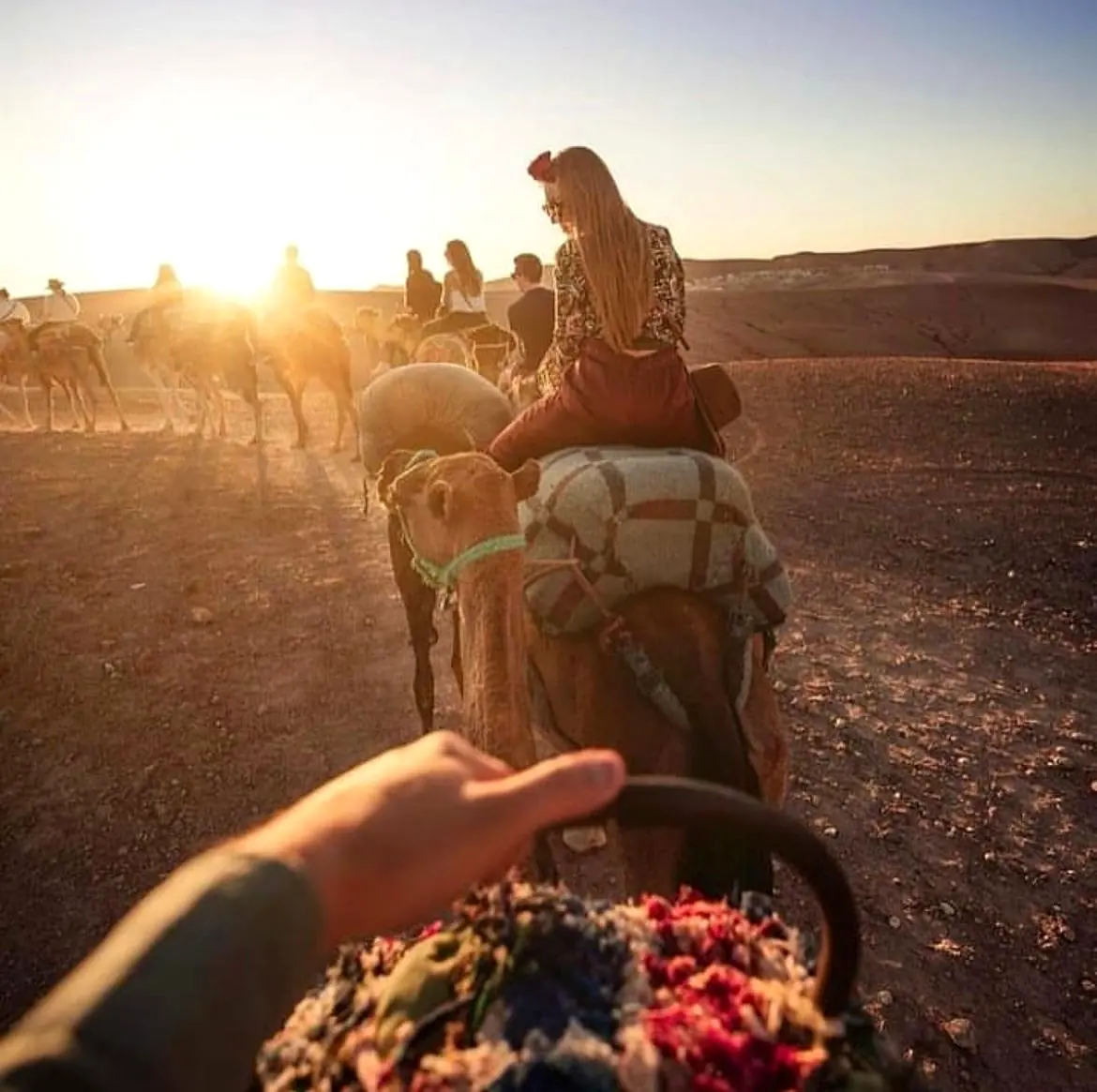 Camel ride at golden hour